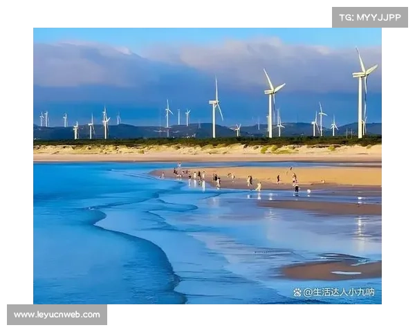 海洋杯冠军苏俊盛赞平潭蓝海风车田美景尽显自然魅力